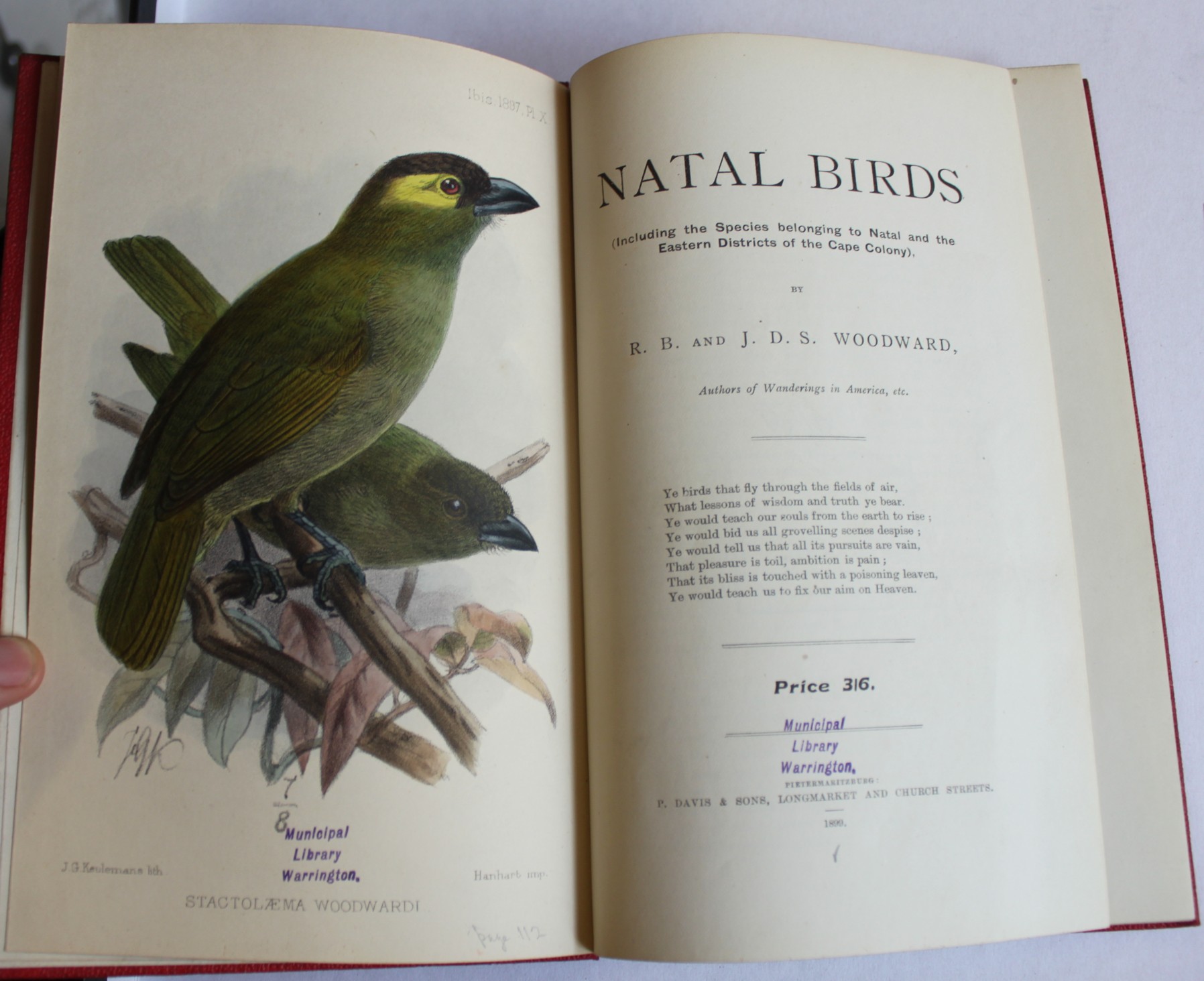Image for Natal Birds (Including the Species belonging to Natal and the Eatern Districts of the Cape Colony)