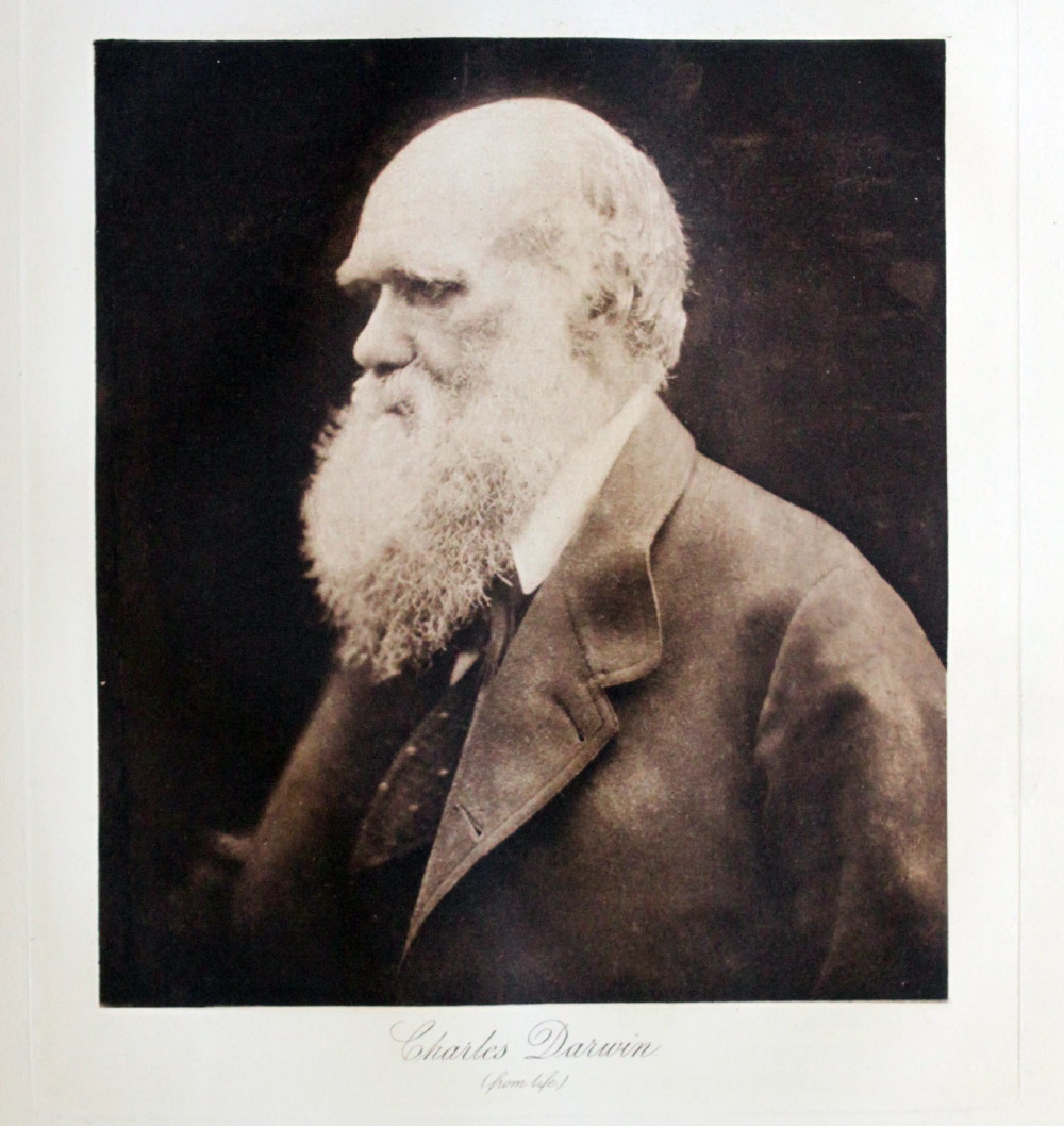 Image for Alfred Lord Tennyson and His Friends; a Series of 25 Portraits and Frontispiece in Photogravure From the Negatives of Mrs. Julia Margaret Cameron and H.H.H. Cameron. Reminiscences by Anne Thackeray Ritchie, with introduction by H.H. Hay Cameron.