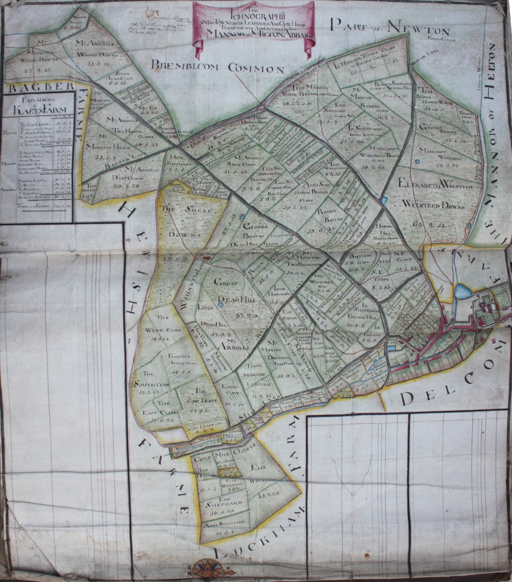 Image for The Ichnographii of the Town Parts, Leasehold and Copie Hold, Tennements and Cottages in the Mannor of Milton Abbas.