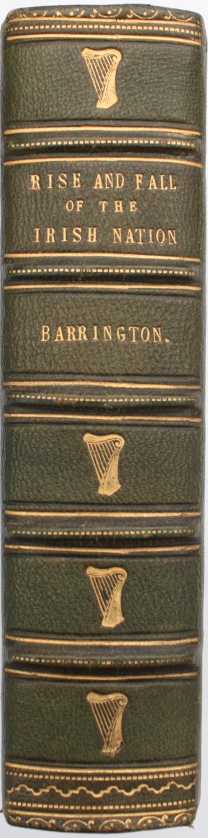 Image for Rise and Fall of the Irish Nation.