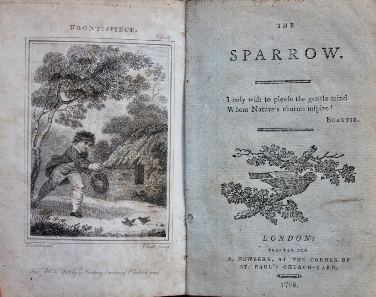 Image for The Sparrow.